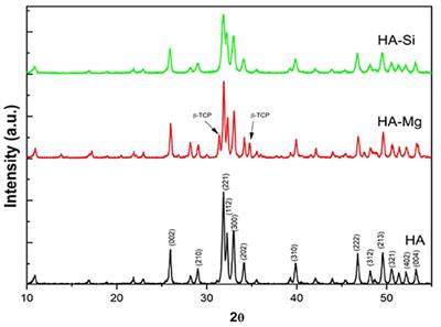 Enhancing Bioactivity of Hydroxyapatite Scaffolds Using Fibrous Type I Collagen